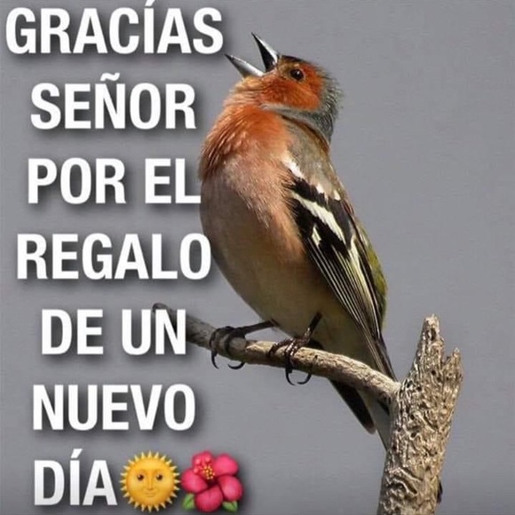 lrosado2451